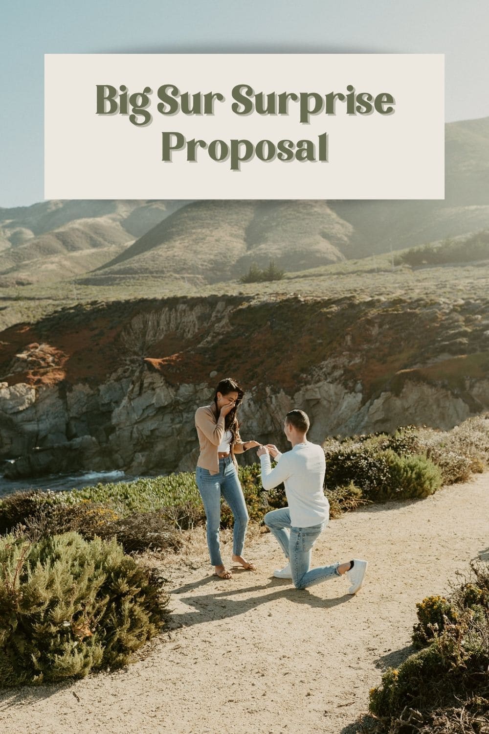 Big Sur Surprise Proposal