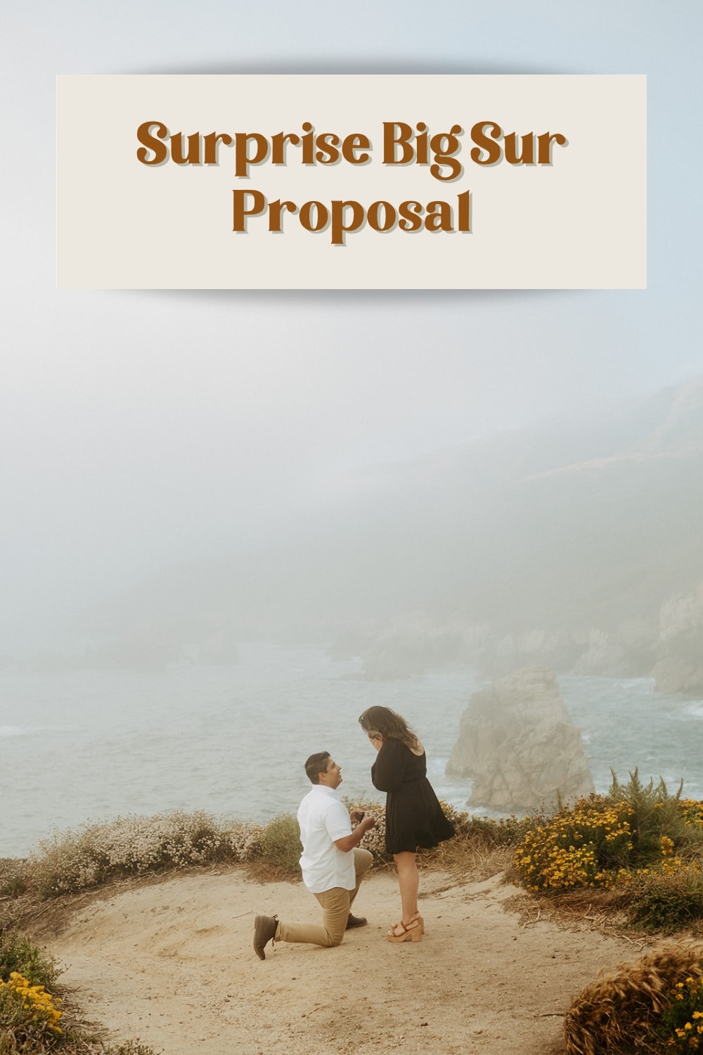 Surprise Big Sur Proposal