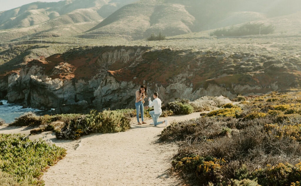 big sur proposal