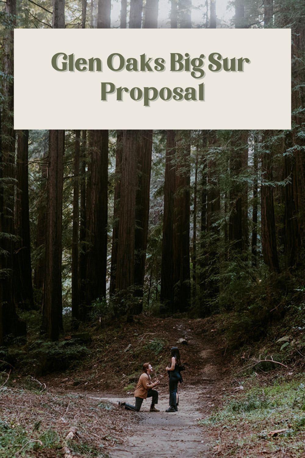 glen oaks big sur proposal